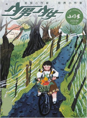 少男少女小作家杂志订阅